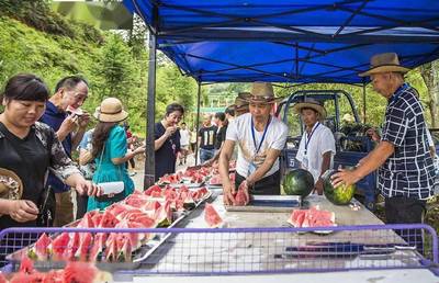 鞋帽零售領跑，我市社會消費品零售總額增速榮登全省榜首